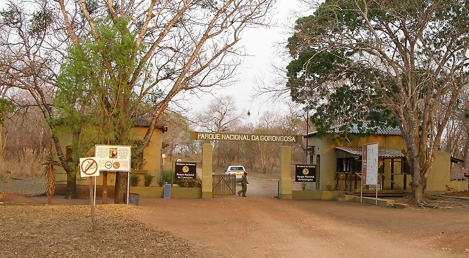 Gorongosa Campsite