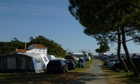 Camping Municipal de l