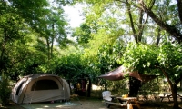 Camping U Prunelli