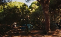 Camping Camaleón