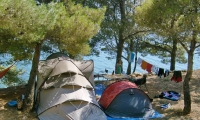 Camping Pinus