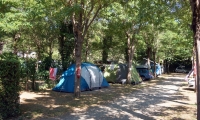 Camping Albero D Oro