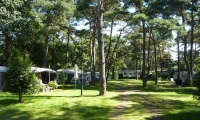 Bos Park Bilthoven