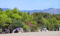 Camping Village Pineta Di Sibari