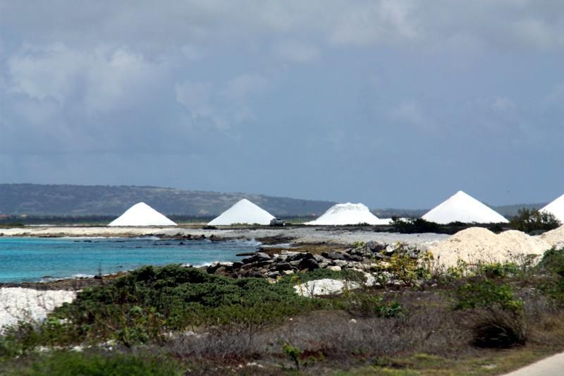 Salinas de Bonaire