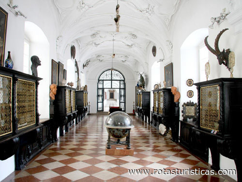 Museo de la Catedral (museo de la catedral)
