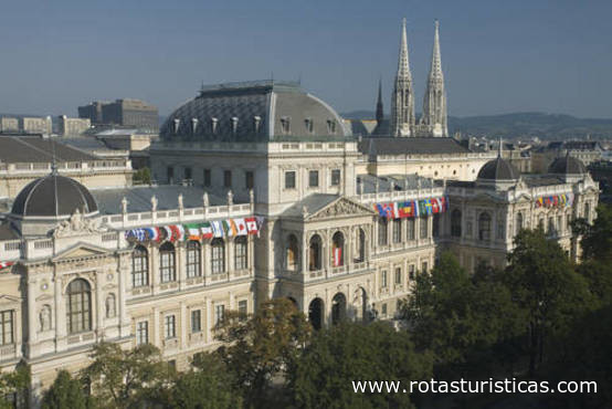 Université de Vienne (Vienne)