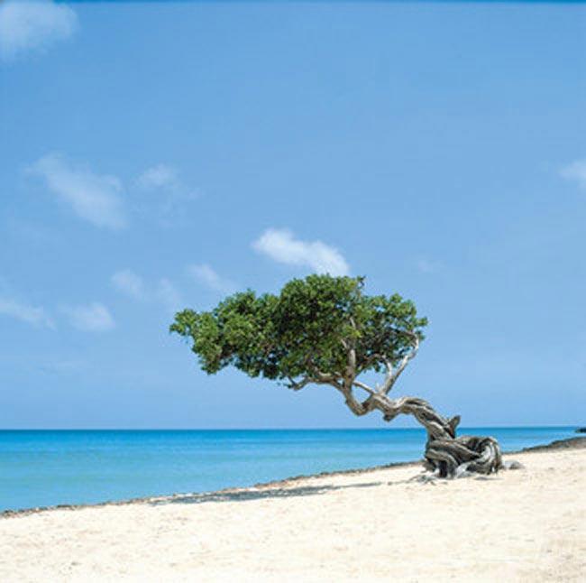 Praias de Palm Beach (Aruba)