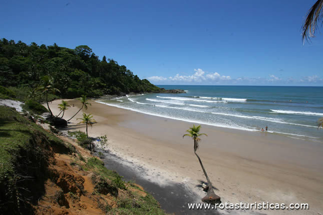 Spiaggia di Coroinha (Itacaré)