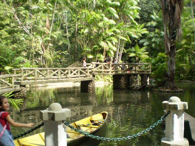 Jardin botanique de la forêt amazonienne Rodrigues Alves (Belém)