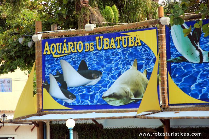 Ubatuba Aquarium
