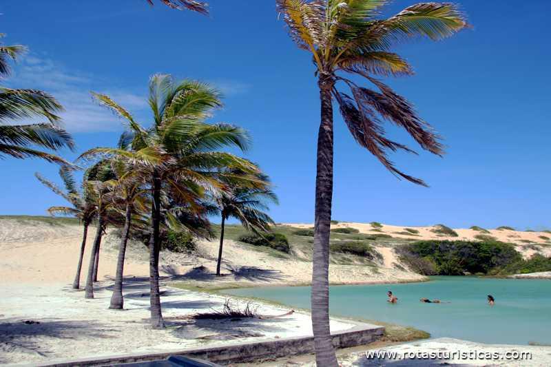 Estanques de dunas - Fontes Beach / Ceará