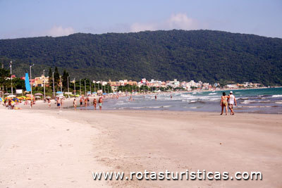 Strand von Bombinhas (Bombinhas)