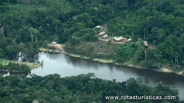 Parc national de Jaú (Manaus)