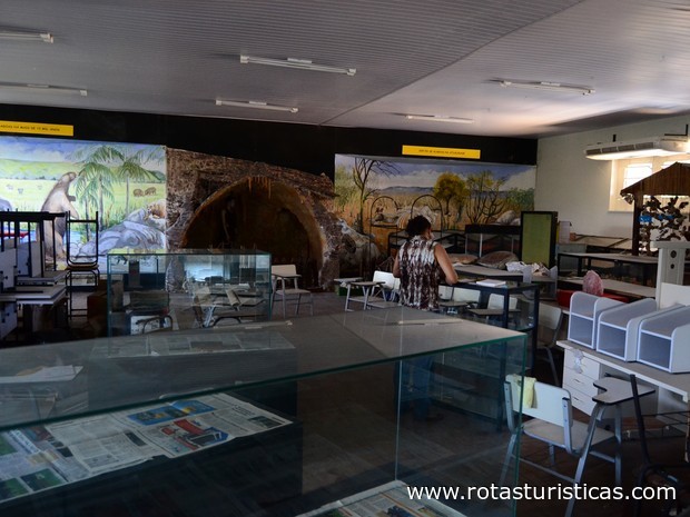 Naturhistorisches Museum - Federal University of Alagoas