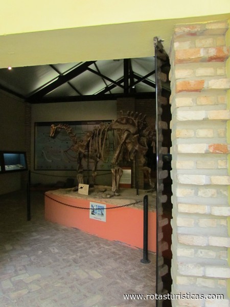 Ufmg natuurhistorisch museum