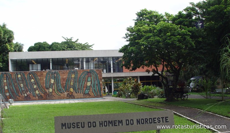 Museu do Homem do Nordeste