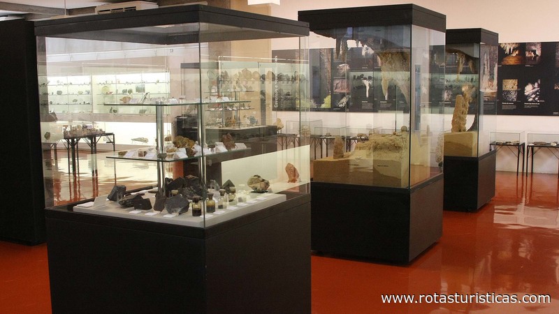 Geowissenschaftliches Museum - Usp