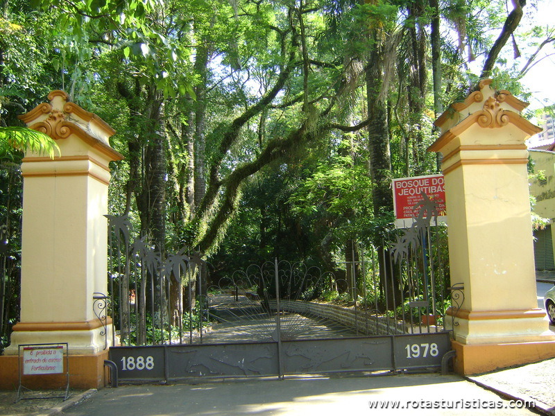 Forêt de Jequitibás - Campinas