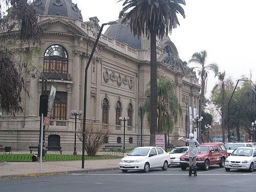 Nationales Museum der Schönen Künste (Santiago)