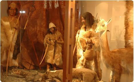 Regional Salesian Museum Maggiorino Borgatello (Punta Arenas)