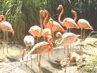 Jardín  Zoológico  de Barranquilla
