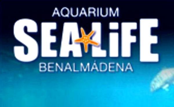 Sea Life Benalmadena (Andalusien)