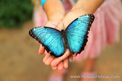 Mariposario de Benalmádena-Butterfly Park