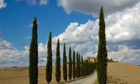 Pienza - Toscana