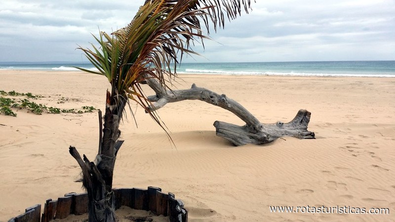 Playa de la Barra (Inhambane)