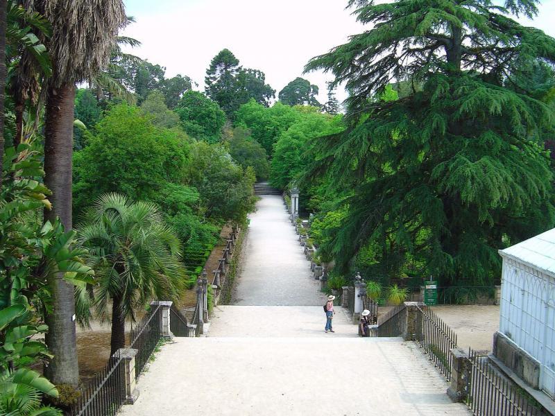 Botanische tuin van de universiteit van Coimbra