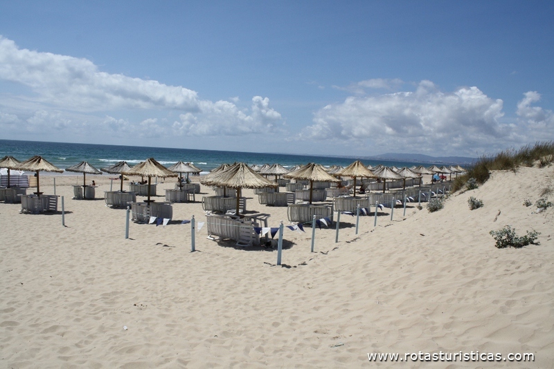 Strand von Rainha (Costa da Caparica)