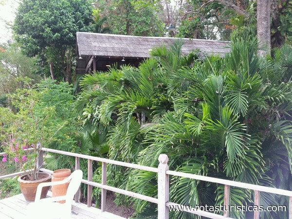 Phuket Public Health Garden